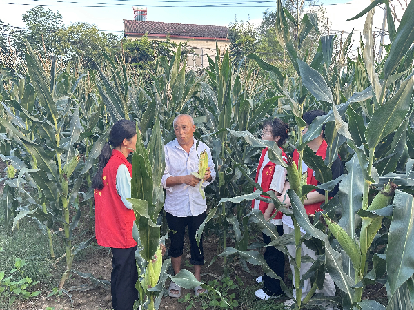 威廉希尔亚洲公司