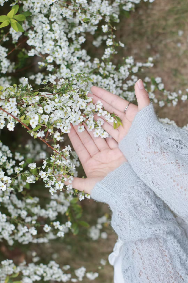 威廉希尔亚洲公司