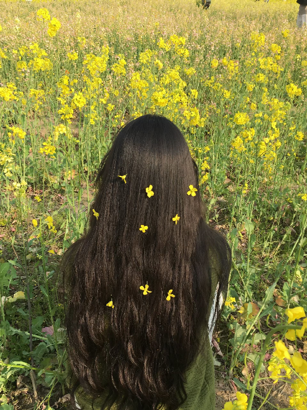 威廉希尔亚洲公司